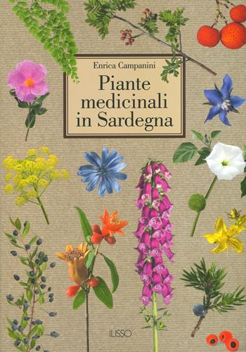 Piante medicinali in Sardegna. Ediz. a colori - Enrica Campanini - Libro Ilisso 2020, Varia | Libraccio.it