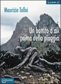 Un battito d'ali prima della pioggia - Maurizio Tolloi - Libro EdiGiò 2010, Le giraffe | Libraccio.it