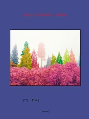 It's time. Ediz. illustrata - David B. Sherry - Libro Damiani 2010 | Libraccio.it