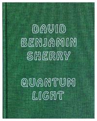 Quantum light - David B. Sherry - Libro Damiani 2012, Fotografia | Libraccio.it