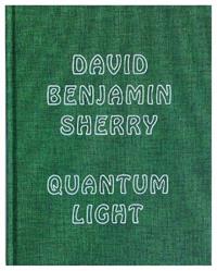 Quantum light. Ediz. illustrata - David B. Sherry - Libro Damiani 2012, Fotografia | Libraccio.it