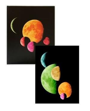 Moon atlas. Ediz. limitata - Luca Missoni, Maurizio Bortolotti - Libro Damiani 2020, Collectors | Libraccio.it