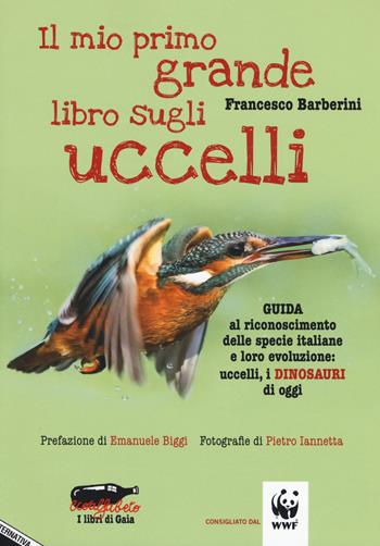 Il mio primo grande libro sugli uccelli. Guida al riconoscimento delle specie italiane e loro evoluzione: uccelli, i dinosauri di oggi - Francesco Barberini - Libro Stampa Alternativa 2017, Ecoalfabeto. I libri di Gaia | Libraccio.it
