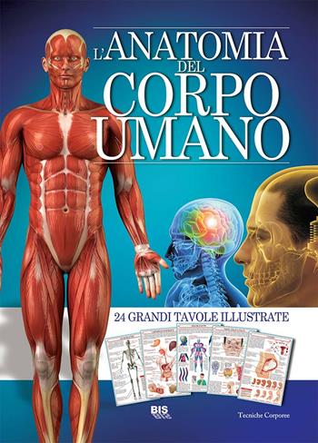 L'anatomia del corpo umano  - Libro Bis 2015, Tecniche corporee | Libraccio.it