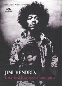 Jimi Hendrix. Una foschia rosso porpora - Harry Shapiro, Caesar Glebbeek - Libro Arcana 2010 | Libraccio.it