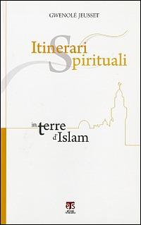 Itinerari spirituali in terre d'Islam - Gwenolé Jeusset - Libro TS - Terra Santa 2010, Incontri a Sichar | Libraccio.it