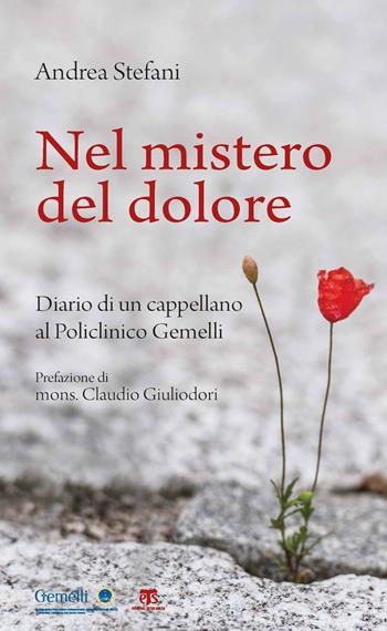 Nel mistero del dolore. Diario di un cappellano al Policlinico Gemelli - Andrea Stefani - Libro TS - Terra Santa 2021 | Libraccio.it