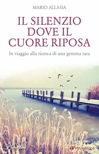 Il silenzio dove il cuore riposa. In viaggio alla ricerca di una gemma rara - Mario Allasia - Libro Tau 2019, Storie di Paradiso | Libraccio.it