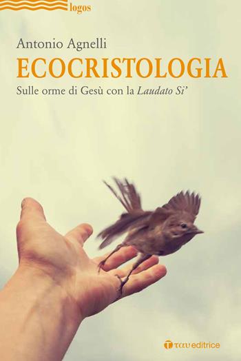 Ecocristologia. Sulle orme di Gesù con la Laudato si' - Antonio Agnelli - Libro Tau 2019, Logos | Libraccio.it