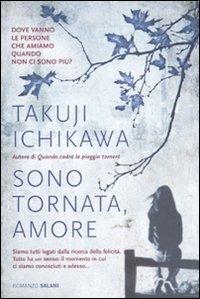 Sono tornata, amore - Takuji Ichikawa - Libro Salani 2011, Romanzo | Libraccio.it
