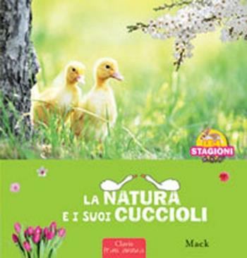 La natura e i sui cuccioli. Le 4 stagioni. Ediz. illustrata - Mack - Libro Clavis 2012, Prima infanzia | Libraccio.it