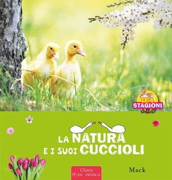 La natura e i sui cuccioli. Le 4 stagioni. Ediz. a colori - Mack - Libro Clavis 2023, Album illustrati | Libraccio.it