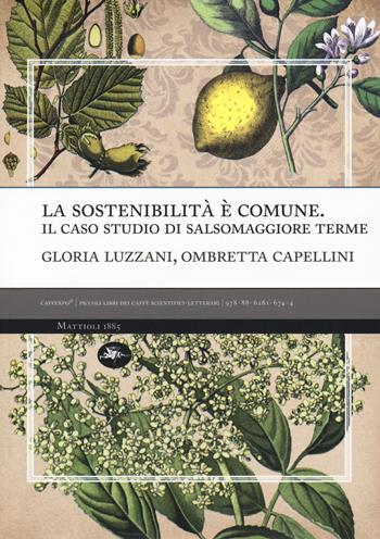 La sostenibilità è comune. Il caso studio di Salsomaggiore terme - Gloria Luzzani, Ombretta Capellini - Libro Mattioli 1885 2018, CaffExpò | Libraccio.it