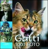 I gatti. Ediz. illustrata