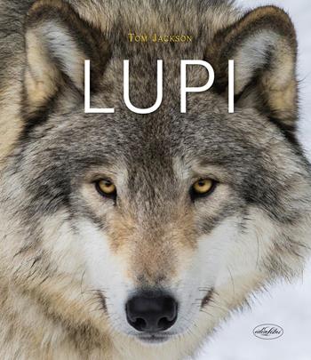Lupi - Tom Jackson - Libro Idea Libri 2024 | Libraccio.it