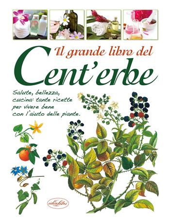 Il grande libro del Cent'erbe  - Libro Idea Libri 2025 | Libraccio.it