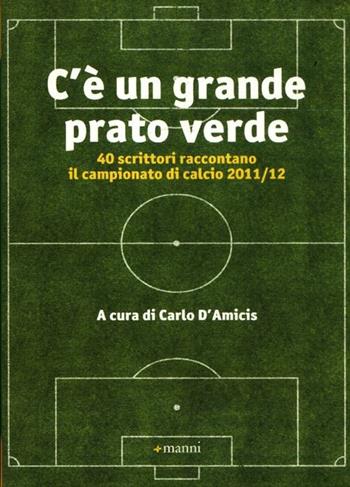 C'è un grande prato verde. 40 scrittori raccontano il campionato di calcio 2011/12  - Libro Manni 2012 | Libraccio.it