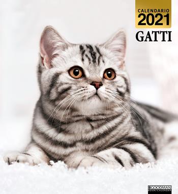 Gatti. Calendario 2021  - Libro Sprea Editori 2020 | Libraccio.it