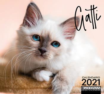 Gatti. Calendario 2021  - Libro Sprea Editori 2020 | Libraccio.it