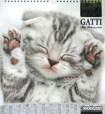 Gatti che dormono. Calendario 2024  - Libro Sprea Editori 2023 | Libraccio.it