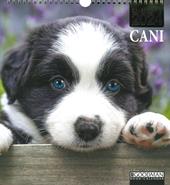 Cani. Calendario 2024. Magnum