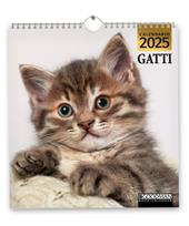 Gatti. Calendario 2025. Magnum