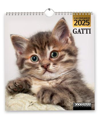 Gatti. Calendario 2025. Magnum  - Libro Sprea Editori 2024 | Libraccio.it