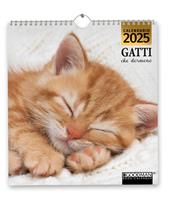 Gatti che dormono. Calendario 2025