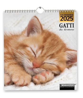 Gatti che dormono. Calendario 2025  - Libro Sprea Editori 2024 | Libraccio.it