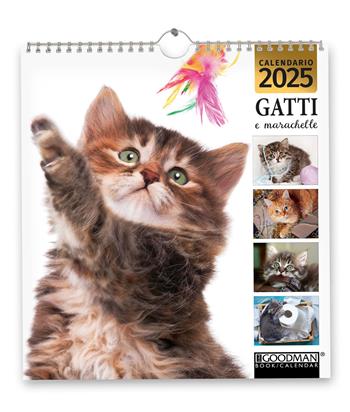 Gatti e marachelle. Calendario 2025  - Libro Sprea Editori 2024 | Libraccio.it