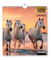 Cavalli. Calendario 2025