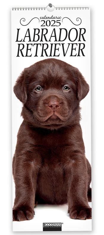 Labrador Retriever. Calendario 2025. Long  - Libro Sprea Editori 2024 | Libraccio.it
