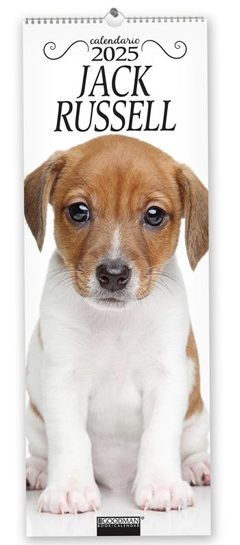 Jack Russel. Calendario 2025. Long  - Libro Sprea Editori 2024 | Libraccio.it