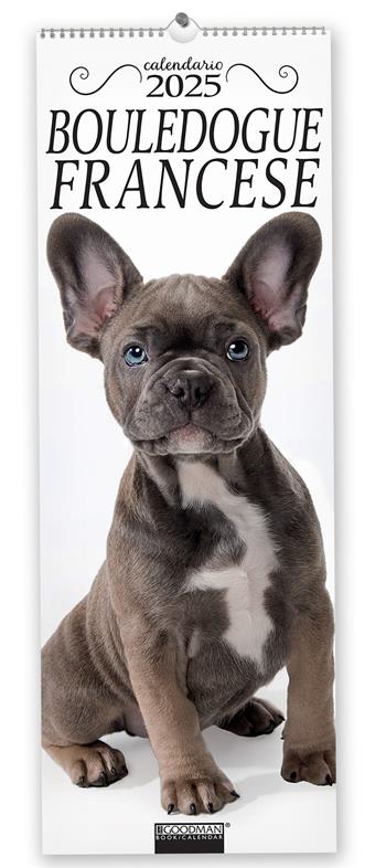 Bouledogue francese. Calendario 2025. Long  - Libro Sprea Editori 2024 | Libraccio.it