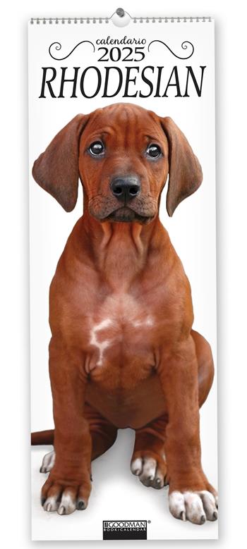 Rhodesian. Calendario 2025. Long  - Libro Sprea Editori 2024 | Libraccio.it