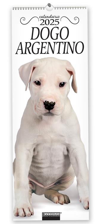 Dogo Argentino. Calendario 2025. Long  - Libro Sprea Editori 2024 | Libraccio.it