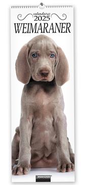 Weimaraner. Calendario 2025. Long