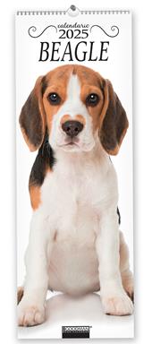 Beagle. Calendario 2025. Long