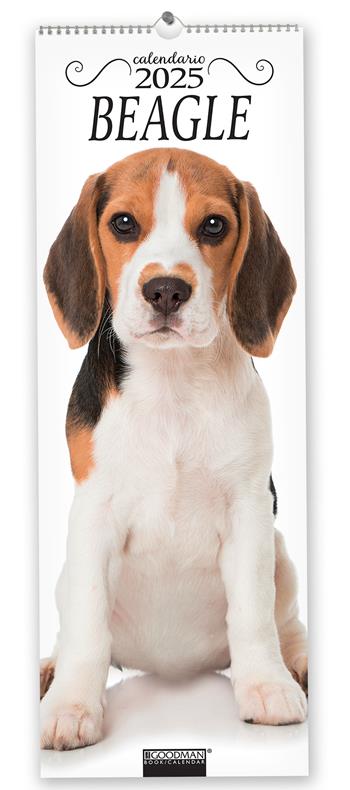 Beagle. Calendario 2025. Long  - Libro Sprea Editori 2024 | Libraccio.it