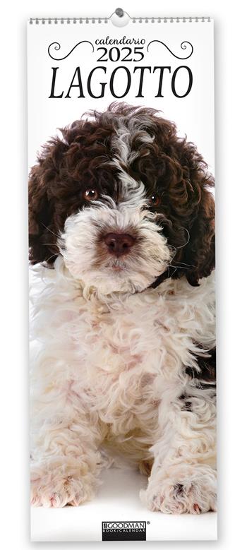 Lagotto. Calendario 2025. Long  - Libro Sprea Editori 2024 | Libraccio.it