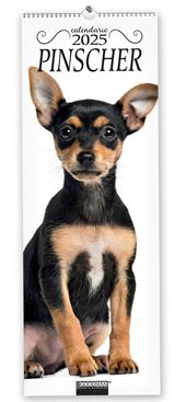 Pinscher. Calendario 2025. Long