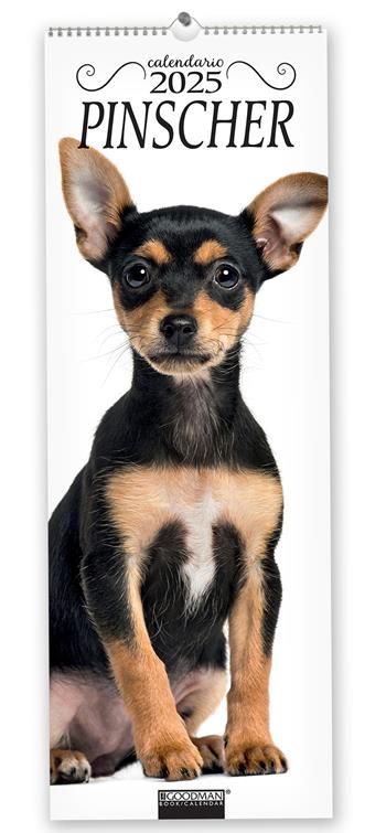 Pinscher. Calendario 2025. Long  - Libro Sprea Editori 2024 | Libraccio.it