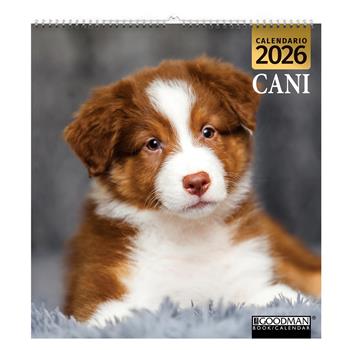 Cani. Calendario 2026. Magnum  - Libro Sprea Editori 2025 | Libraccio.it