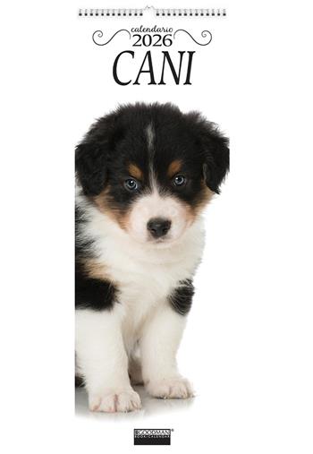 Cani. Calendario 2026. Long  - Libro Sprea Editori 2025 | Libraccio.it