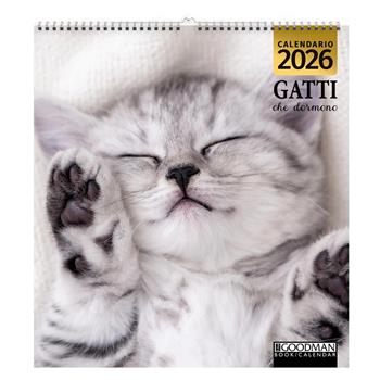 Gatti che dormono. Calendario 2026  - Libro Sprea Editori 2025 | Libraccio.it