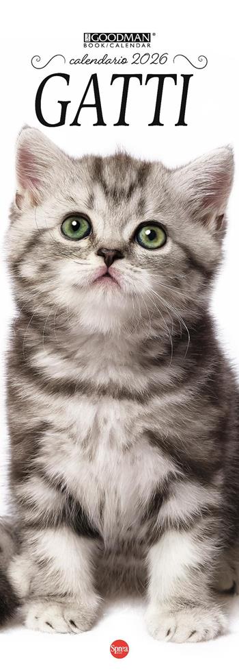 Gatti. Calendario 2026. Long  - Libro Sprea Editori 2025 | Libraccio.it