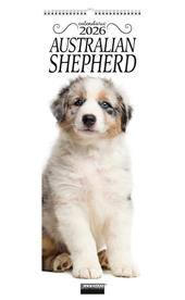 Australian shepherd. Calendario 2026. Long