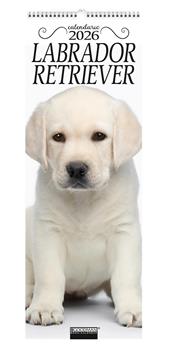 Labrador Retriever. Calendario 2026. Long