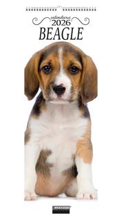 Beagle.Calendario 2026. Long