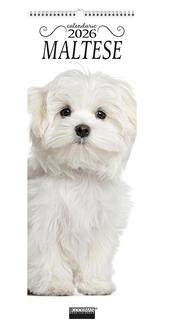 Maltese. Calendario 2026. Long